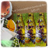 Puntos libro AMIGOS DEL BOSQUE. Ferrándiz